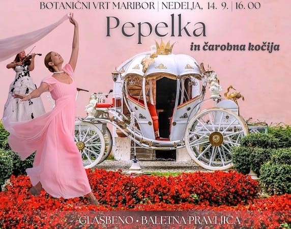 pepelka in čarobna kočija